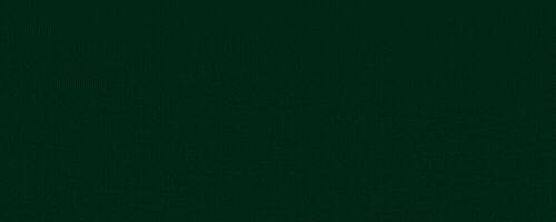 Izspa Christmas Wish